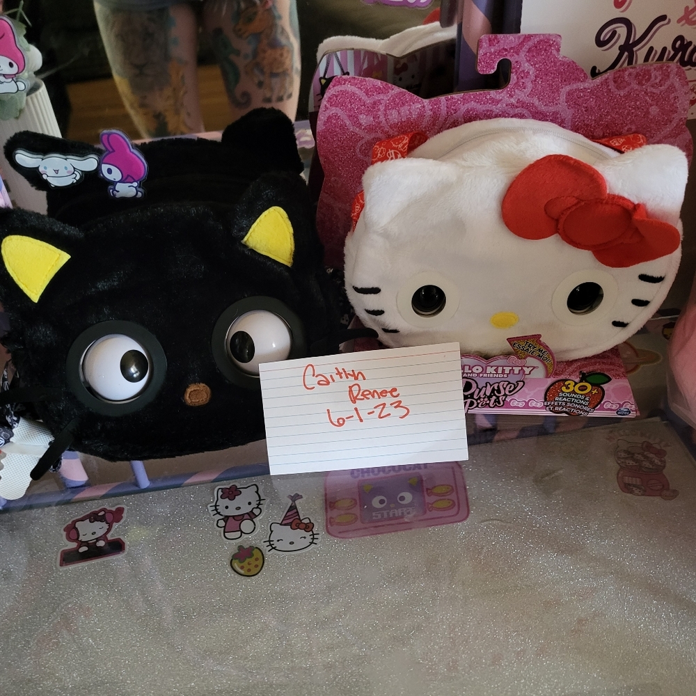 Sanrio Purse pets.